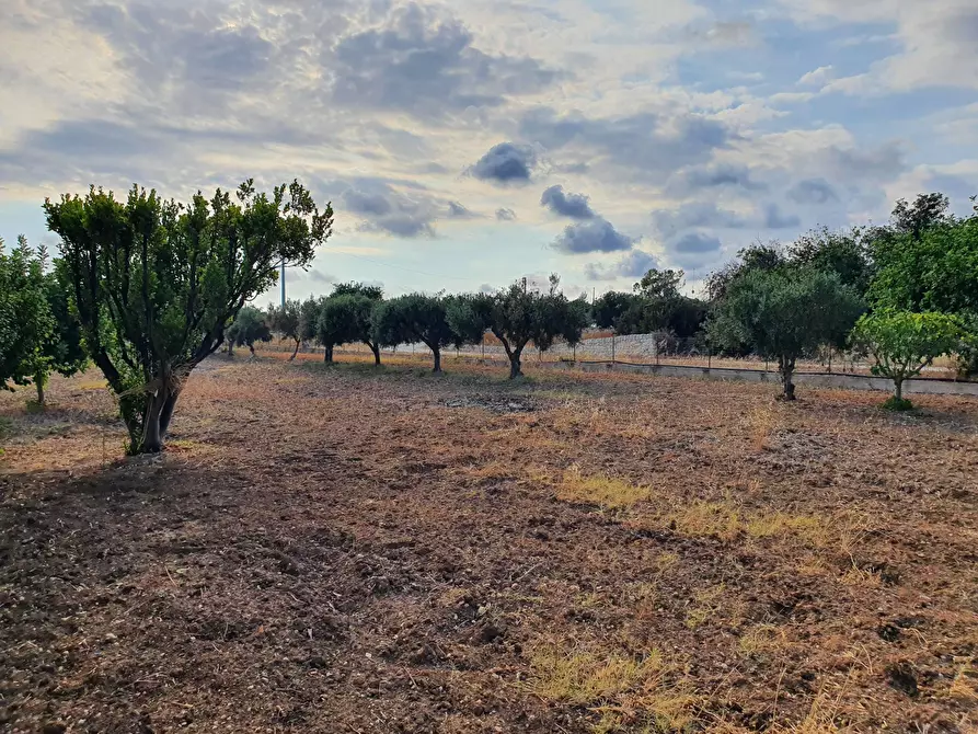 Immagine 10 di Villa in vendita  in Strada Provinciale 40 a Scicli
