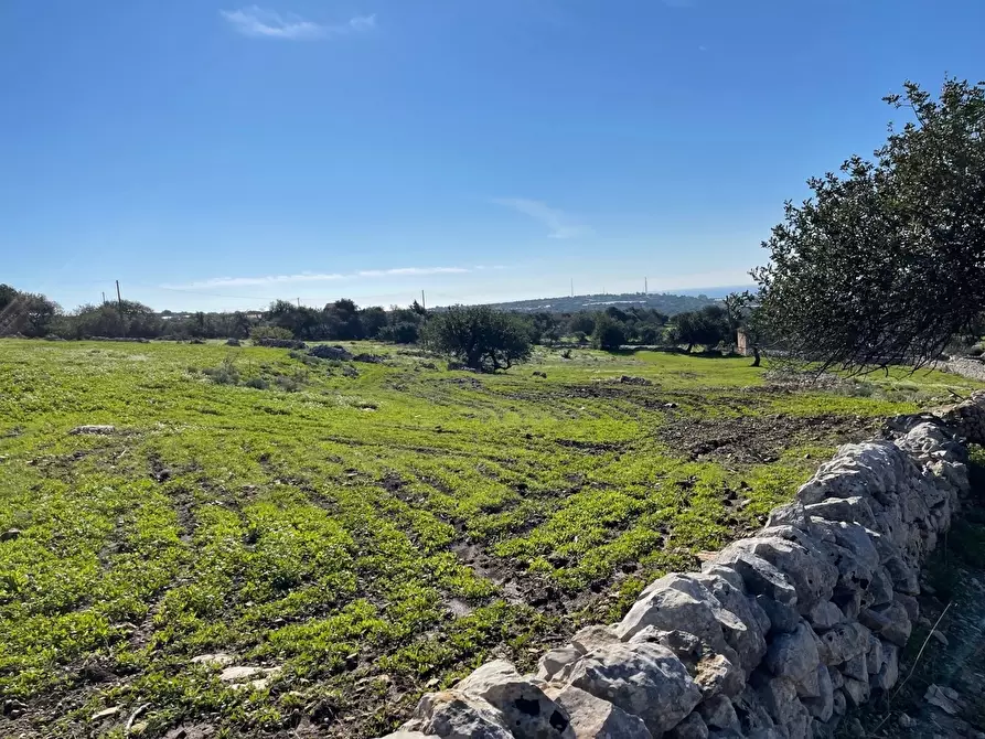 Immagine 6 di Terreno agricolo in vendita  in Contrada San Marco a Scicli