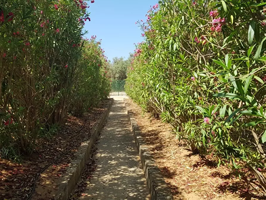 Immagine 23 di Villa in vendita  a Scicli