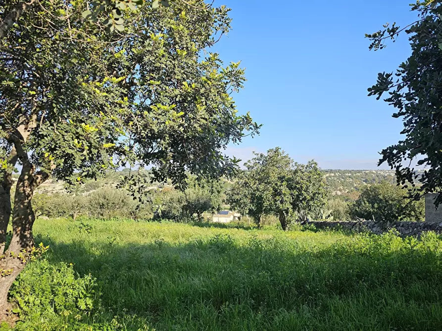 Immagine 19 di Casa indipendente in vendita  in Contrada Cozzo Rao sn a Scicli