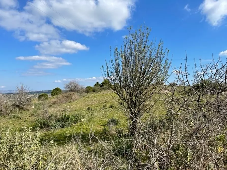 Immagine 3 di Casa indipendente in vendita  in Strada Provinciale 4 a Noto