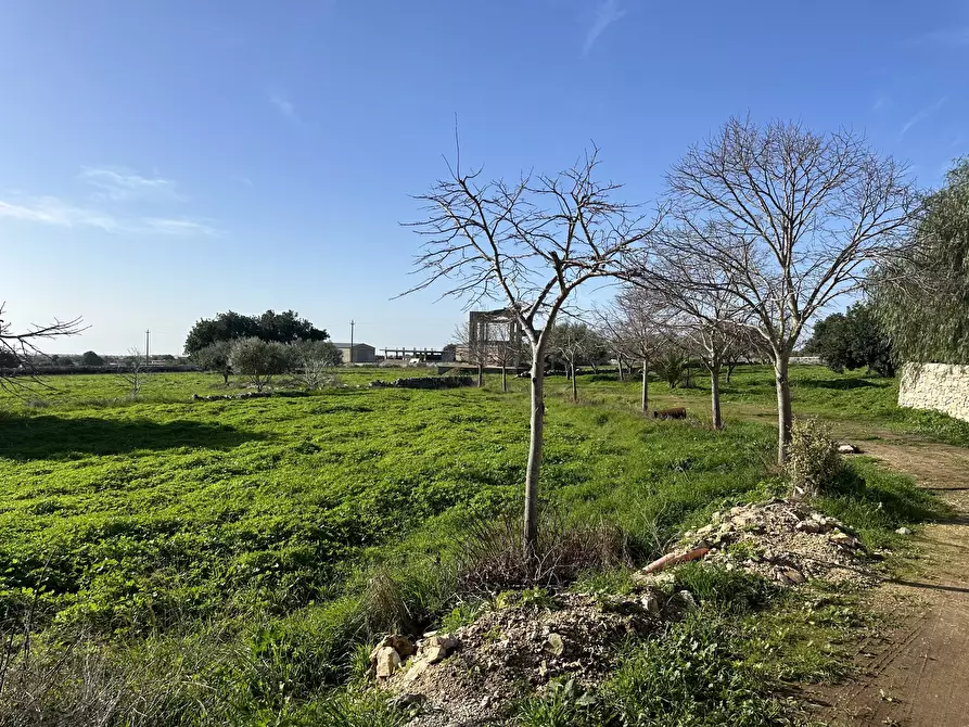 Immagine 5 di Rustico / casale in vendita  in Strada Provinciale 45 a Modica