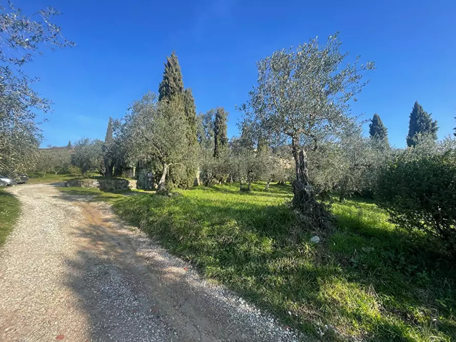 Immagine 16 di Rustico / casale in vendita  in Via dei bertolotti a Lucca