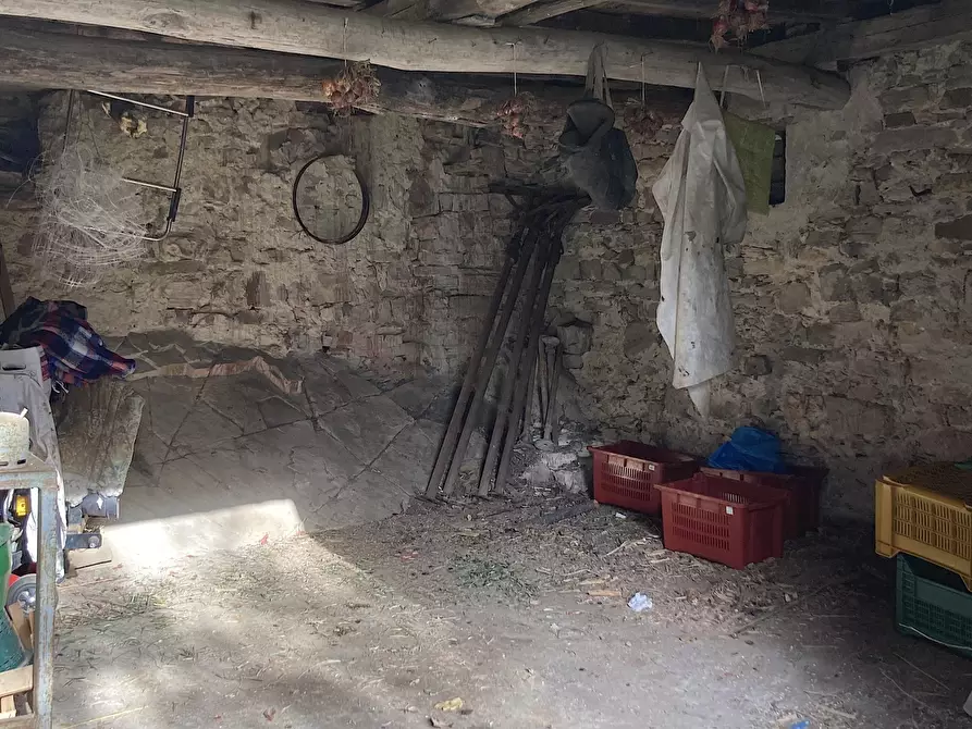 Immagine 14 di Rustico / casale in vendita  in via del brennero 1950 a Lucca