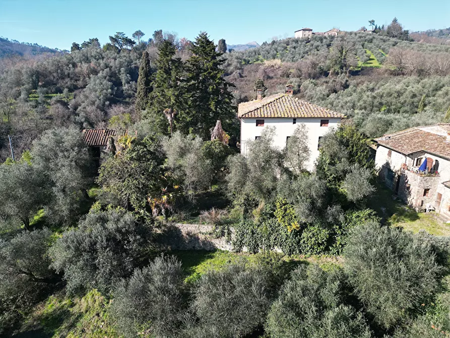 Immagine 22 di Villa in vendita  in Via del Macennere 8252/A a Lucca