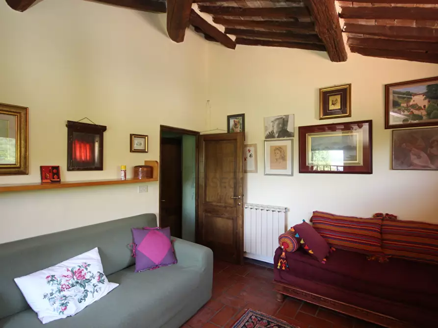Immagine 18 di Rustico / casale in vendita  a Lucca