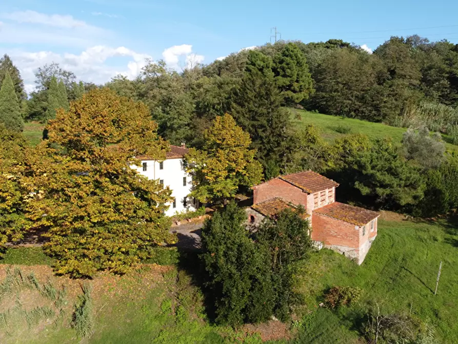 Immagine 1 di Azienda agricola in vendita  in Via Tofori a Capannori