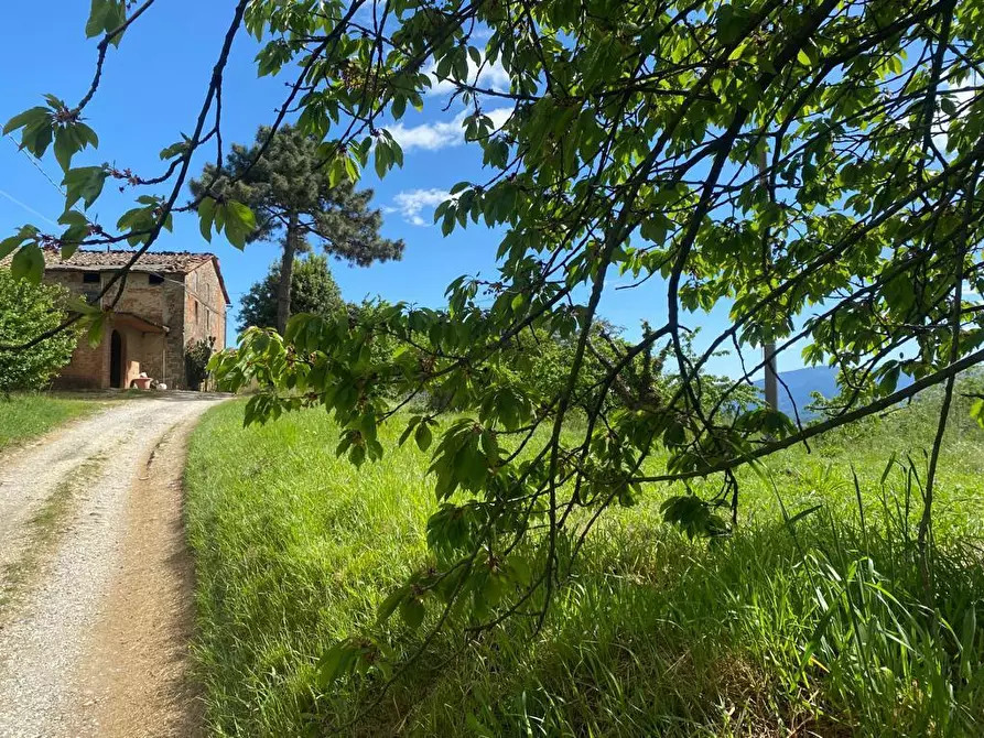 Immagine 10 di Rustico / casale in vendita  in Via di Palmata 425 a Lucca