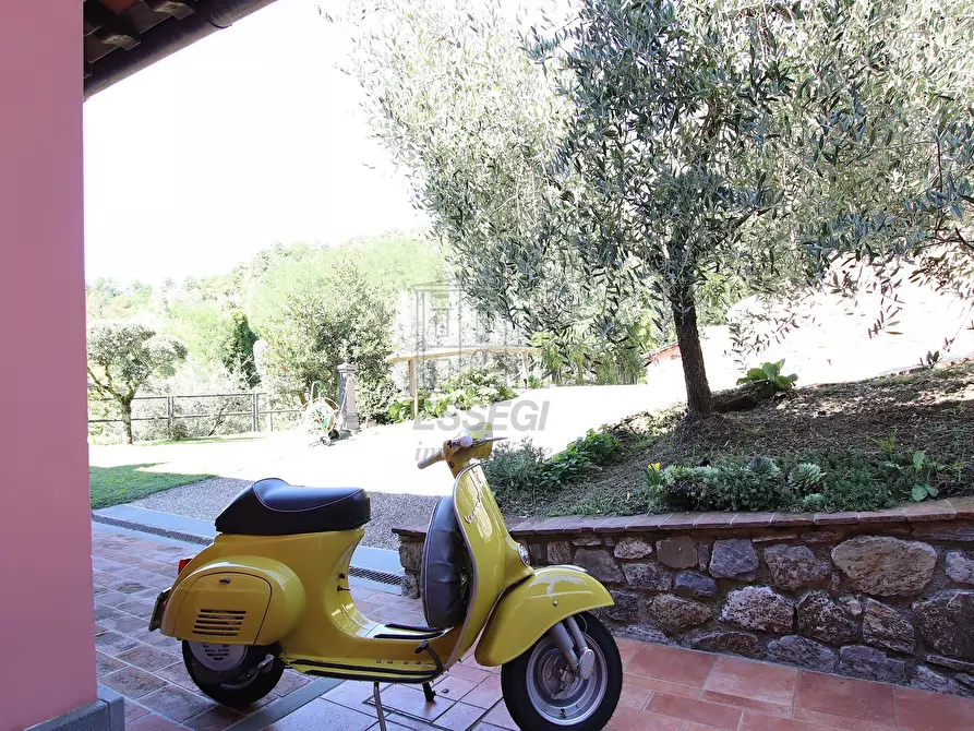 Immagine 46 di Rustico / casale in vendita  in Località Frantoio, Valdottavo 17 a Borgo A Mozzano