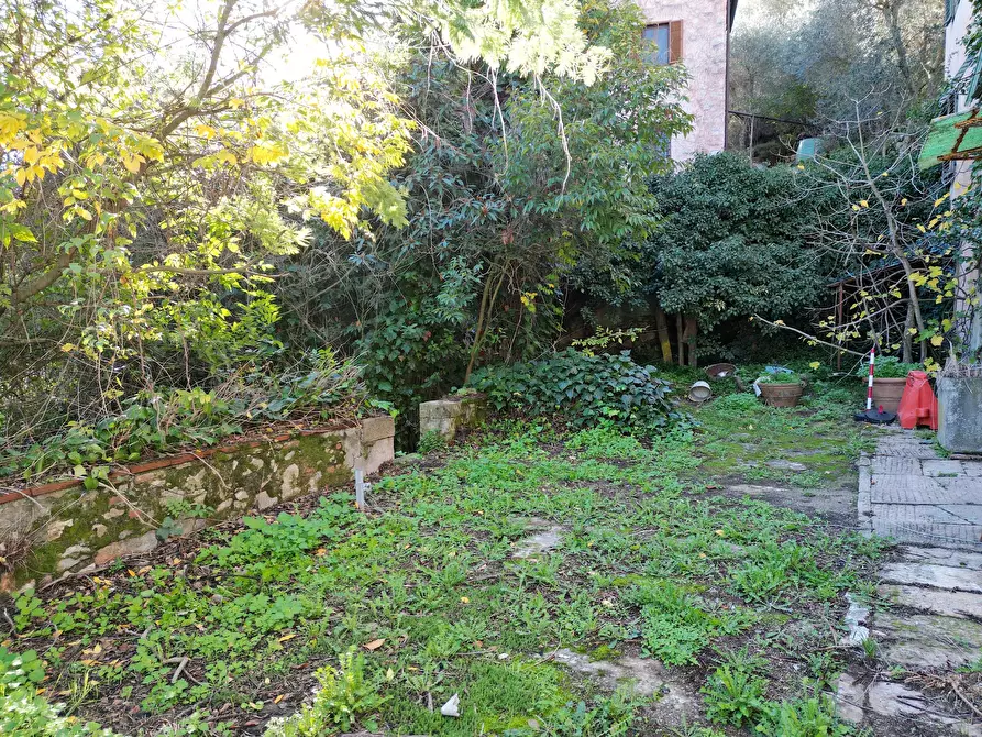 Immagine 5 di Rustico / casale in vendita  in Via del Cimitero Diciannovesima 532 a Lucca