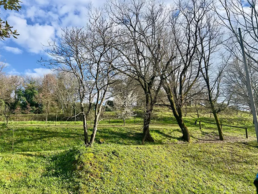 Immagine 8 di Rustico / casale in vendita  in Via di San Martino a Porcari