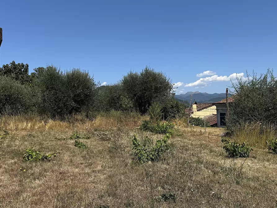 Immagine 30 di Terratetto in vendita  in Via di Balbano 102 a Lucca