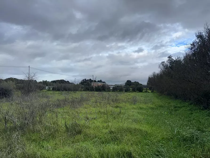 Immagine 2 di Terreno agricolo in vendita  a San Sperate