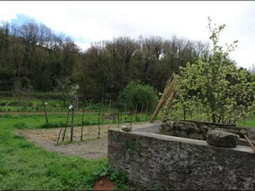 Immagine 6 di Terreno agricolo in vendita  a Fosdinovo