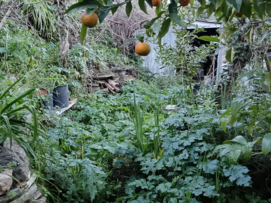 Immagine 13 di Casa semindipendente in vendita  a Ameglia