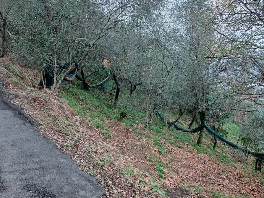 Immagine 6 di Terreno edificabile in vendita  a Ameglia