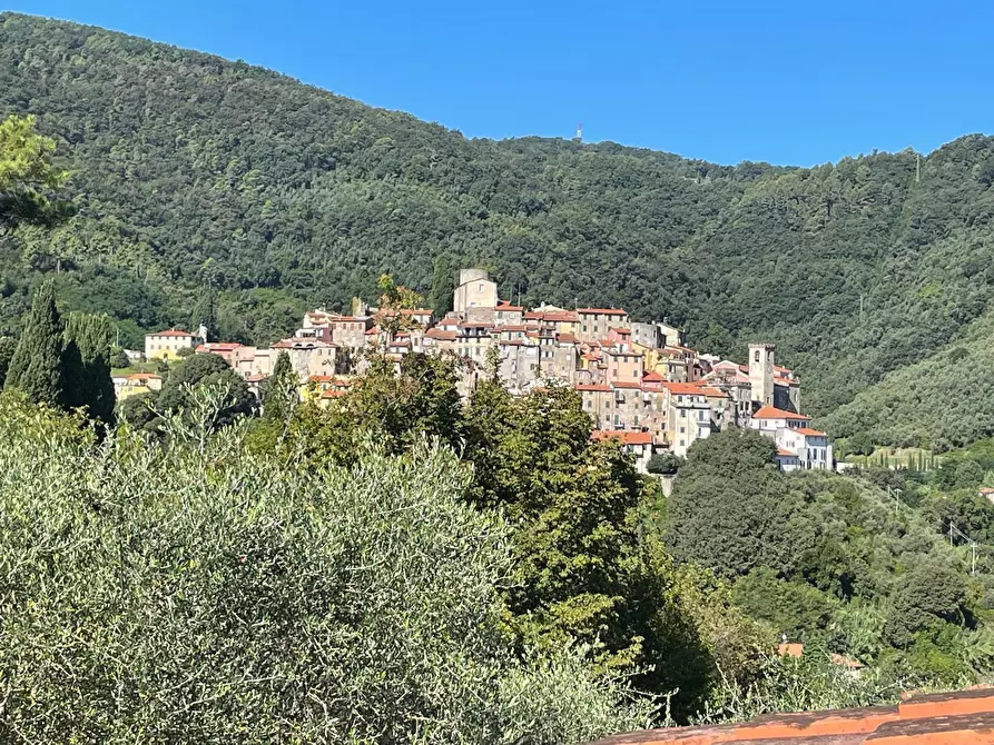Immagine 28 di Casa semindipendente in vendita  in Via Ghilenda 31 a Ameglia