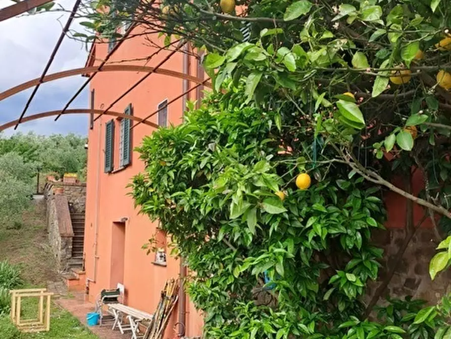 Immagine 10 di Casa indipendente in vendita  in VIA CASTELLO a Buggiano