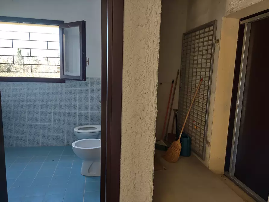 Immagine 19 di Terreno agricolo in vendita  a Jesi