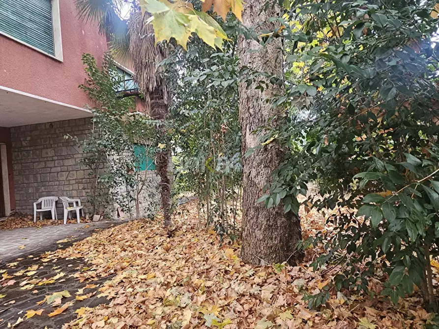 Immagine 10 di Casa indipendente in vendita  in Viale Verdi snc a Jesi