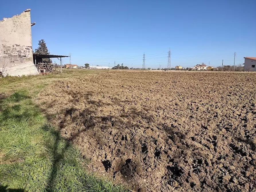 Immagine 10 di Terreno agricolo in vendita  a Jesi
