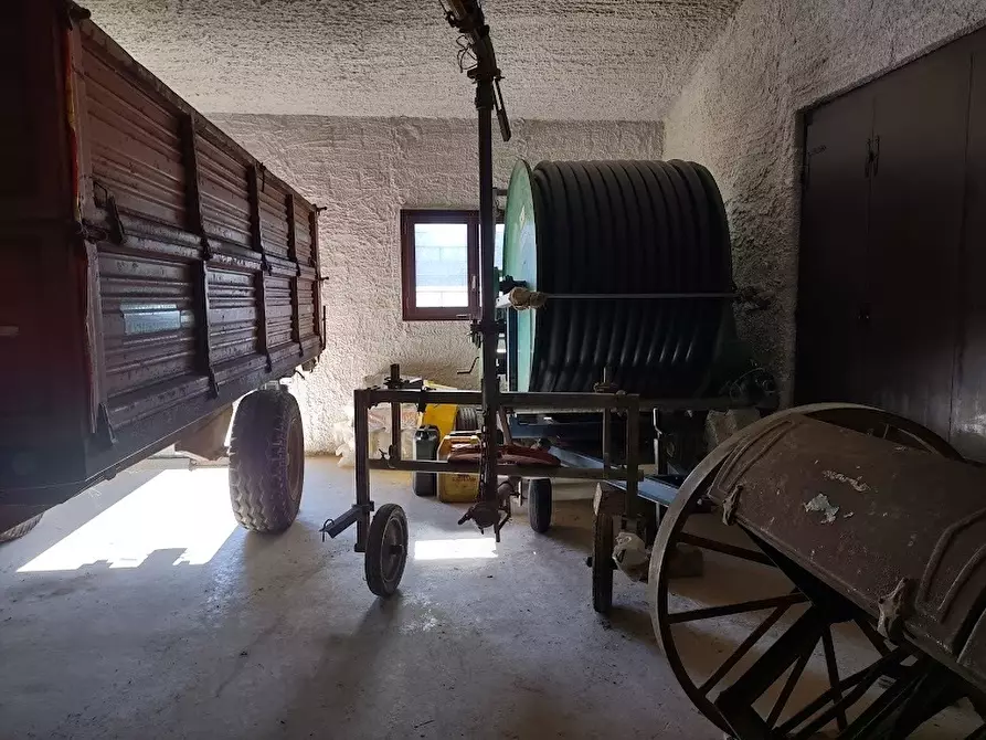 Immagine 14 di Terreno agricolo in vendita  a Jesi