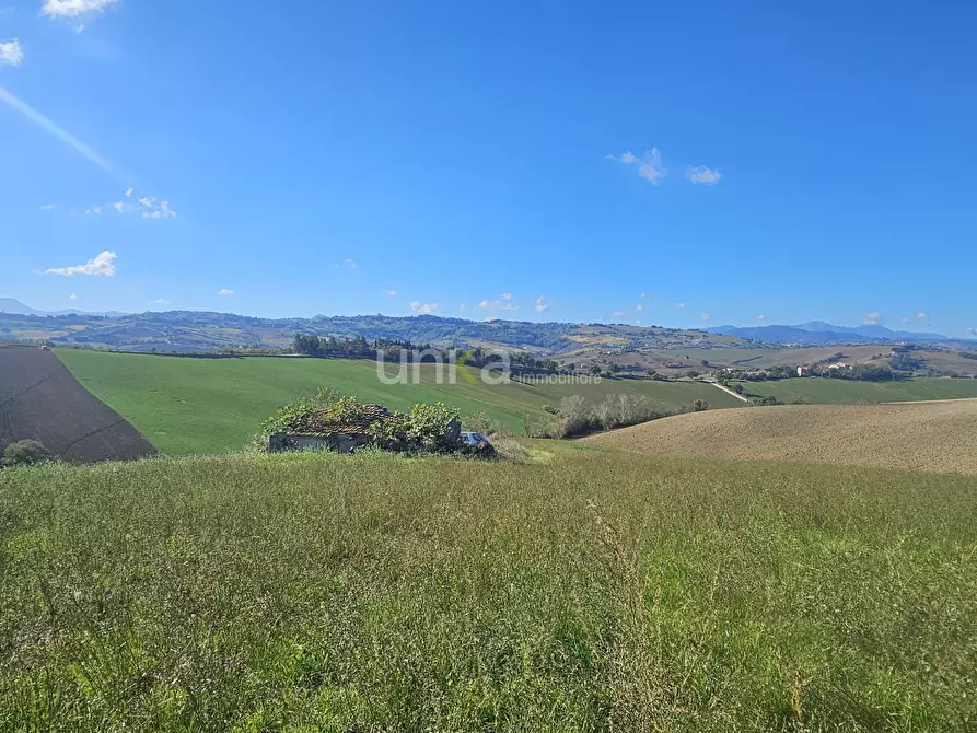 Immagine 2 di Casa indipendente in vendita  in Contrada Costa snc a Montecarotto