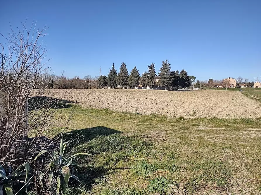 Immagine 3 di Terreno agricolo in vendita  a Jesi