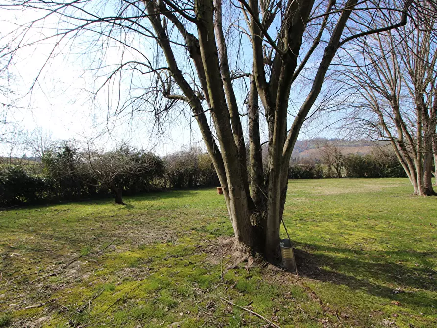 Immagine 42 di Villa in vendita  in SP76 17 a Valsamoggia