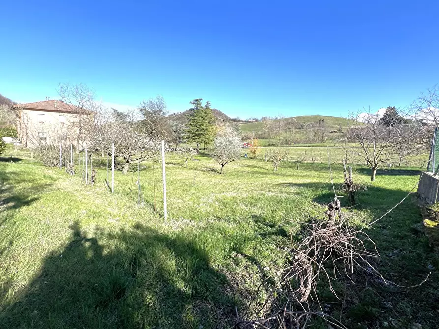 Immagine 8 di Terreno agricolo in vendita  in Via Tiola a Valsamoggia