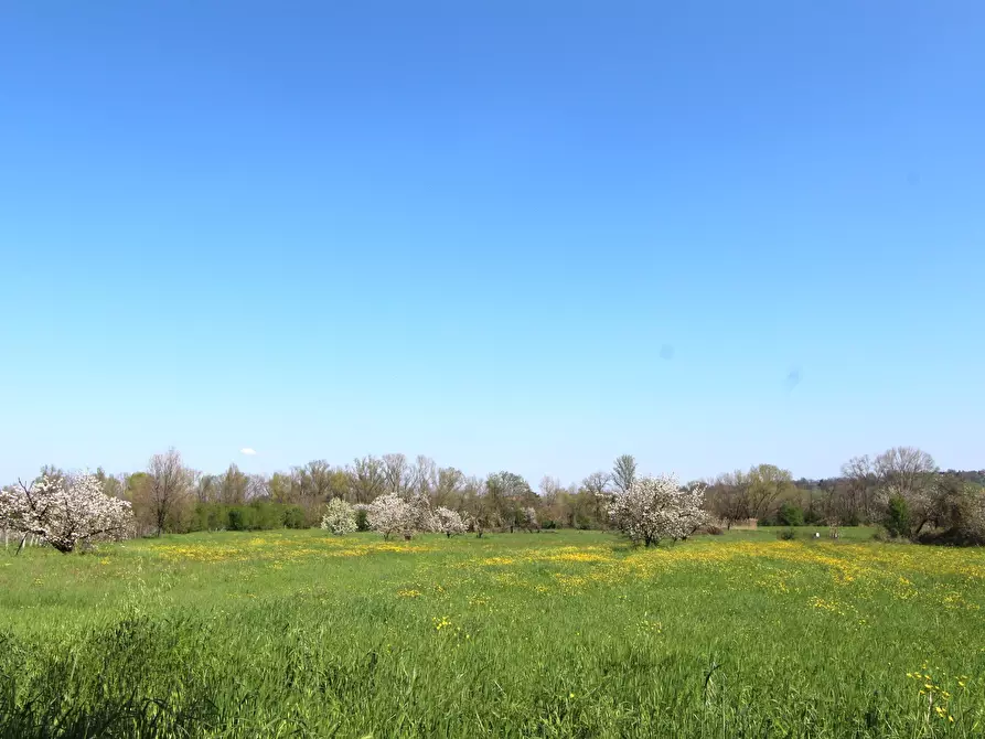 Immagine 41 di Porzione di casa in vendita  in Viale M. di Canossa a Valsamoggia