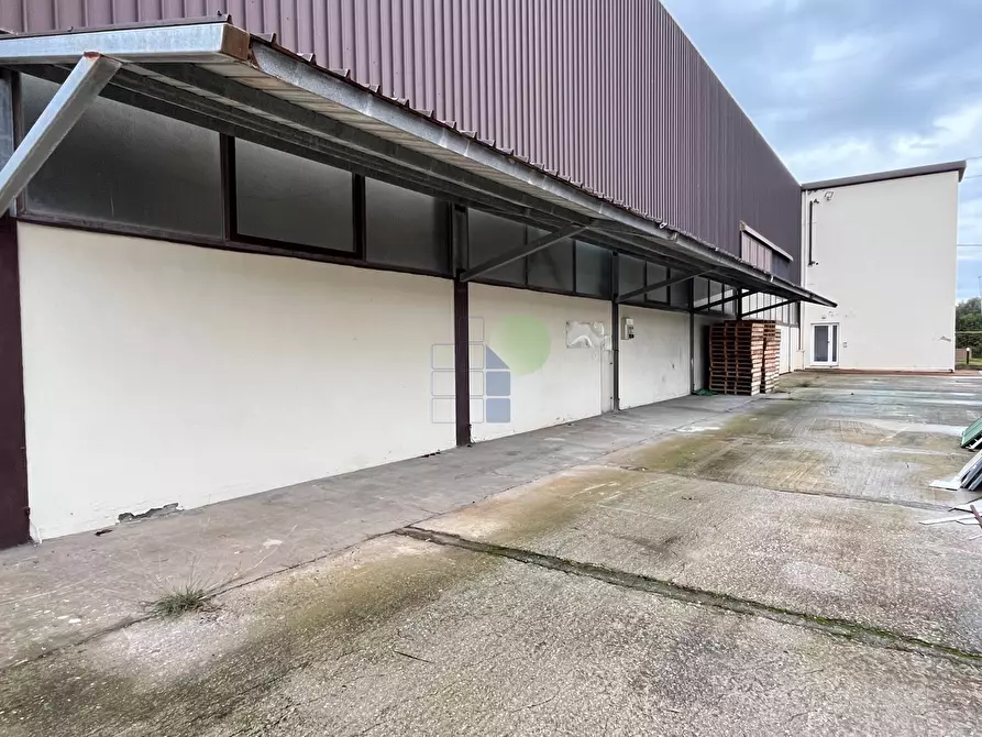 Immagine 41 di Attività artigianale in vendita  in via Arno 22 a Piombino