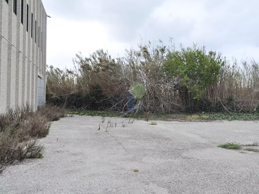 Immagine 31 di Attività artigianale in vendita  in Via della Padula 11 a Livorno