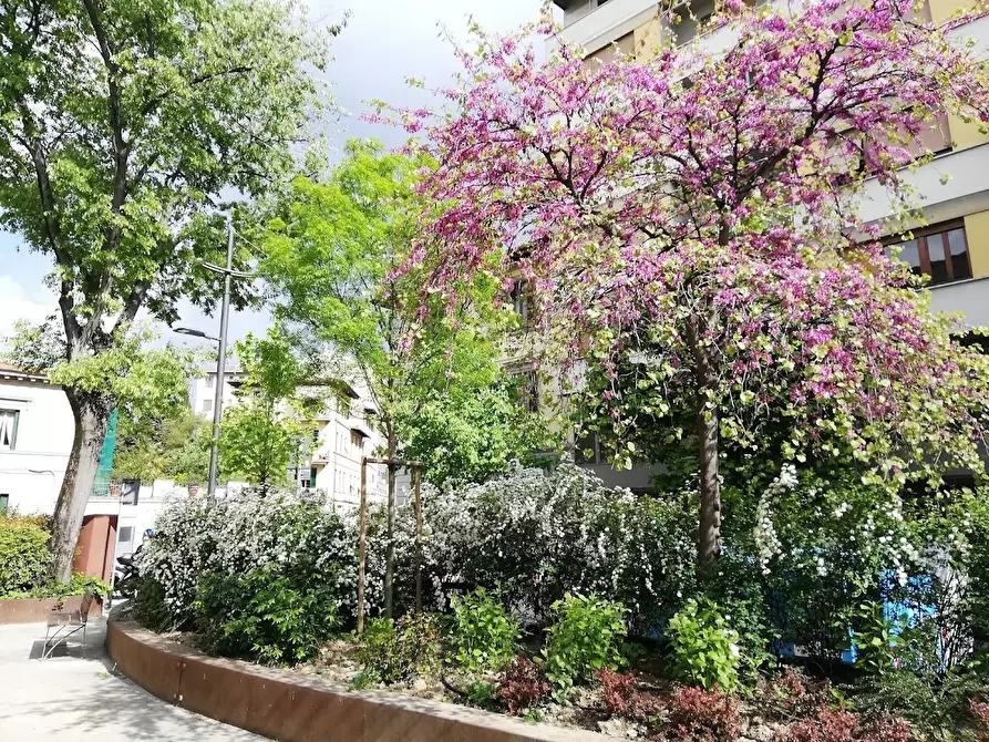 Immagine 25 di Quadrilocale in vendita  in Piazza Bernardo Tanucci a Firenze