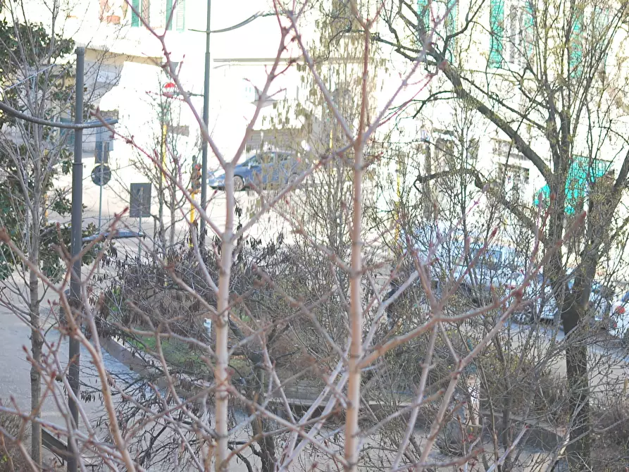 Immagine 23 di Quadrilocale in vendita  in Piazza Bernardo Tanucci a Firenze