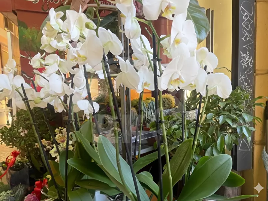 Immagine 13 di Attività commerciale in vendita  in Via dell'Indipendenza 2 a Bologna