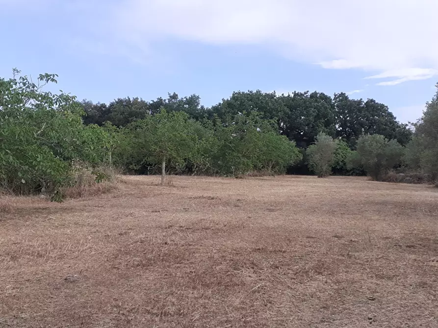 Immagine 64 di Villetta a schiera in vendita  in Via Acre 19 a Palazzolo Acreide