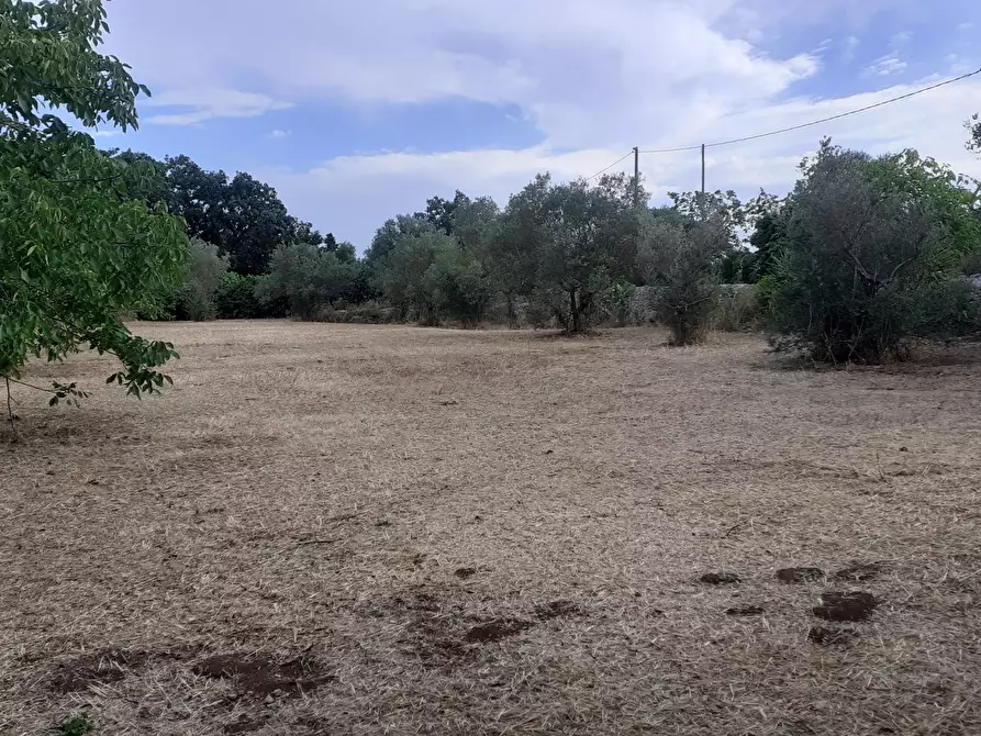 Immagine 60 di Villetta a schiera in vendita  in Via Acre 19 a Palazzolo Acreide