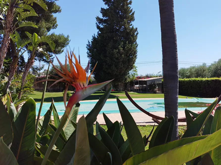 Immagine 54 di Villa in vendita  in Strada Tremmilia 143 a Siracusa