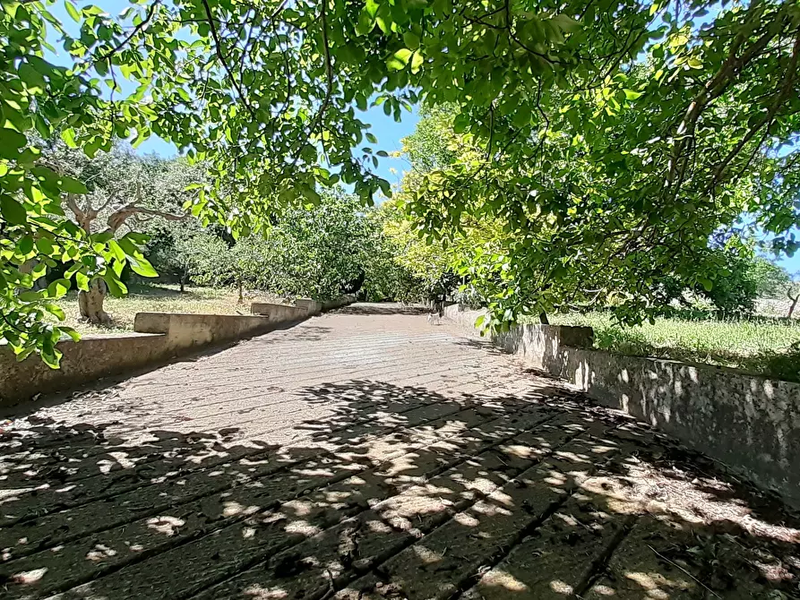 Immagine 25 di Rustico / casale in vendita  in Strada Provinciale 24 21 a Noto
