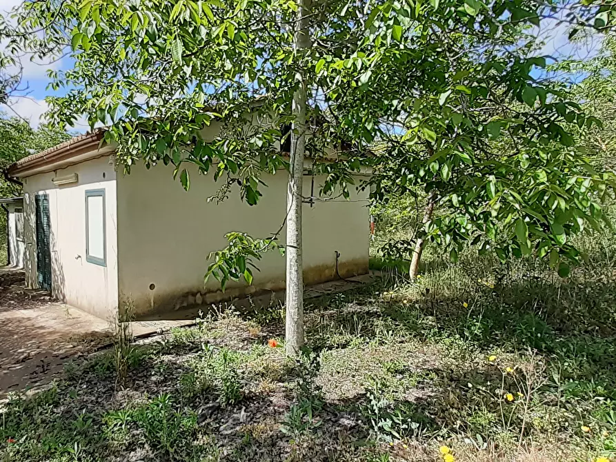 Immagine 5 di Terreno agricolo in vendita  in Strada Statale 287 a Noto