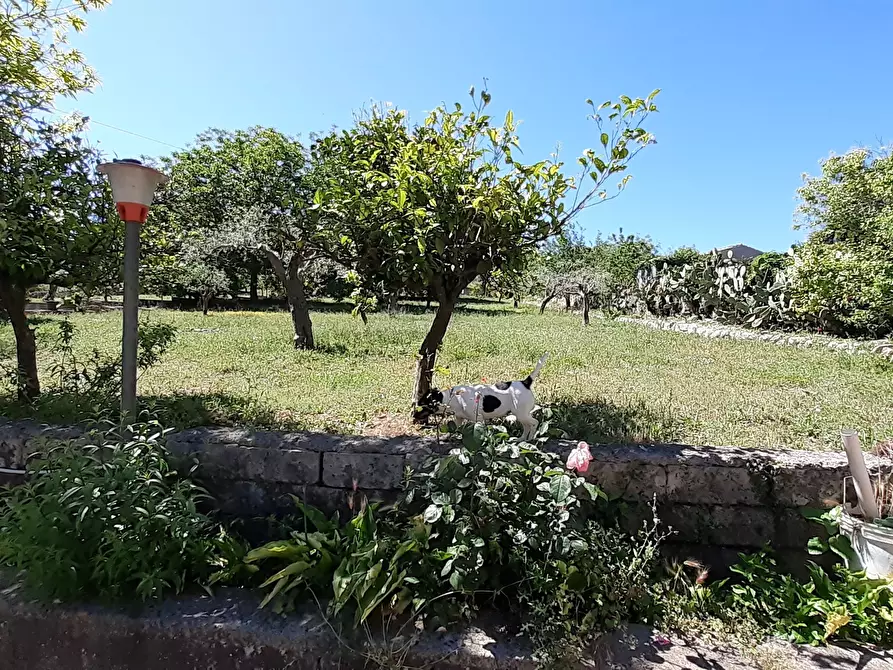 Immagine 17 di Rustico / casale in vendita  in Strada Provinciale 24 21 a Noto