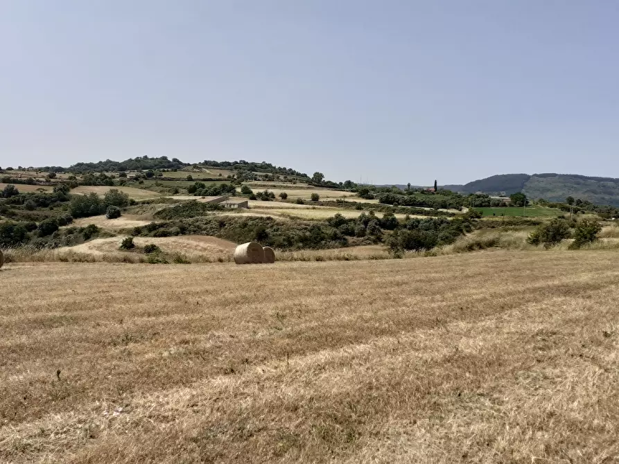 Immagine 39 di Terreno agricolo in vendita  in c.da Poi a Palazzolo Acreide