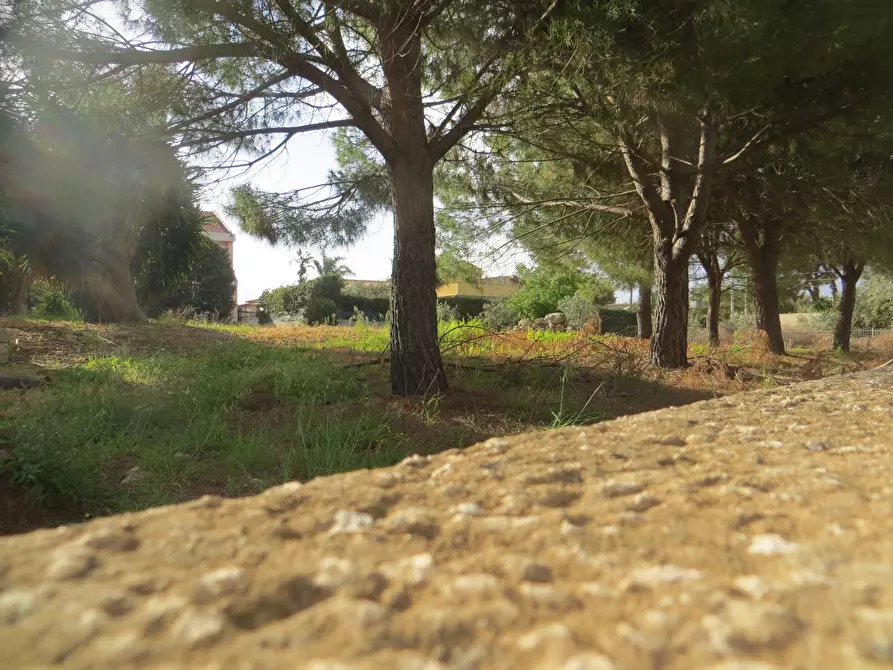 Immagine 2 di Terreno industriale in vendita  in Via Noto 35 a Siracusa