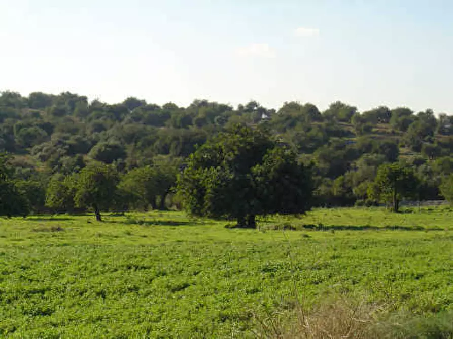 Immagine 15 di Terreno agricolo in vendita  in Corso Vittorio Emanuele 81 a Floridia