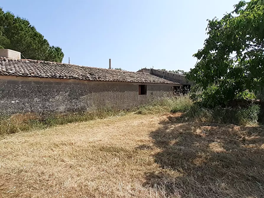 Immagine 49 di Terreno agricolo in vendita  in c.da Poi a Palazzolo Acreide