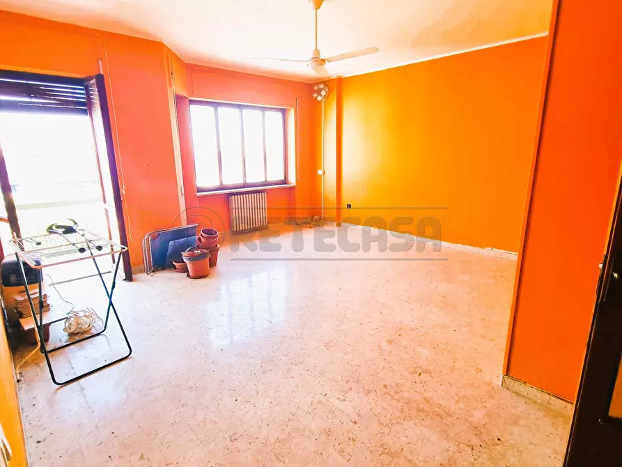 Immagine 2 di Quadrilocale in affitto  a Pescara