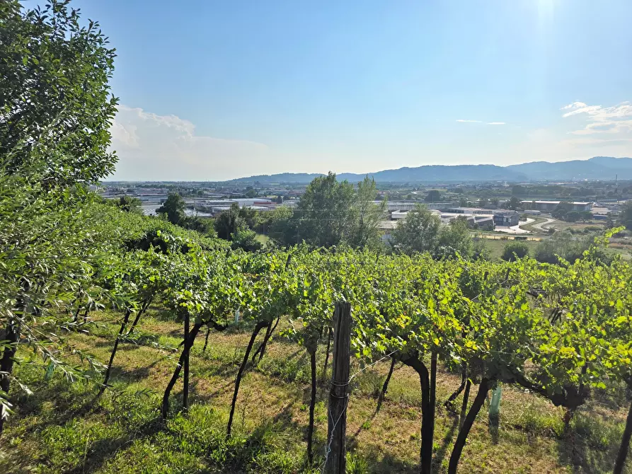 Immagine 4 di Terreno agricolo in vendita  in Via Selva Alta 95 a Montecchio Maggiore
