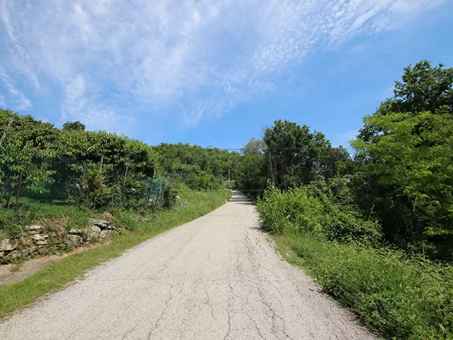 Immagine 5 di Terreno agricolo in vendita  in Via Castellaro a Castegnero
