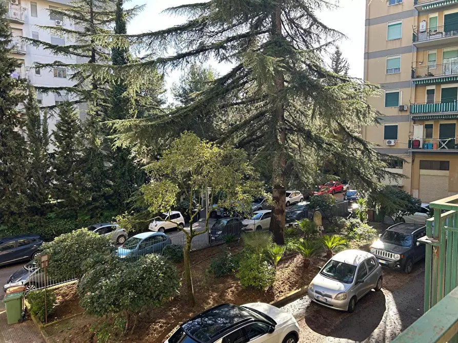 Immagine 4 di Appartamento in vendita  in VIA ENRICO MEDI 24 a Caltanissetta